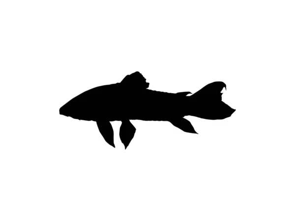Silhouette Fish Kwi Kwi Tamuata Atipa Hassa Cascadu Cascadura Busco — Archivo Imágenes Vectoriales