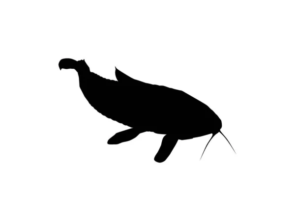 Silhouette Fish Kwi Kwi Або Tamuata Atipa Hassa Cascadu Cascadura — стоковий вектор