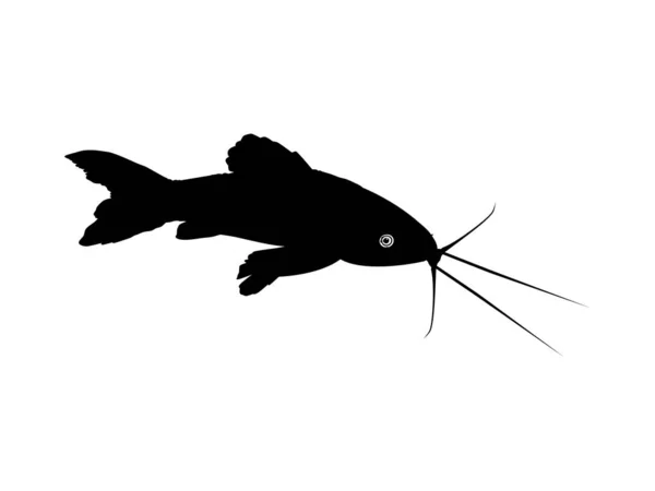 Silhouette Fish Kwi Kwi கவச — ஸ்டாக் வெக்டார்