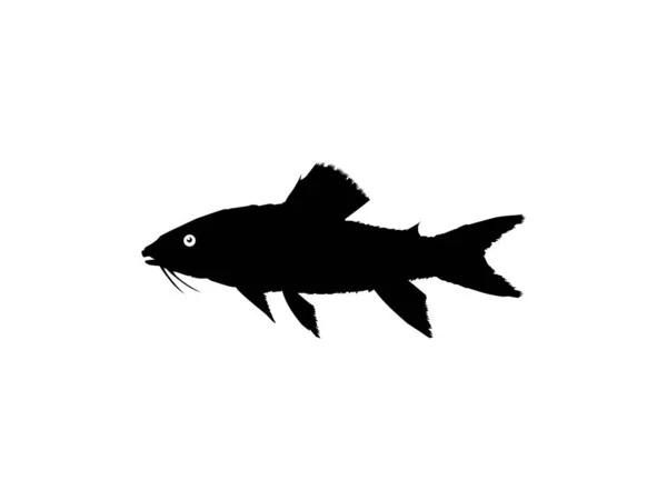 Silhouette Fish Kwi Kwi Або Tamuata Atipa Hassa Cascadu Cascadura — стоковий вектор