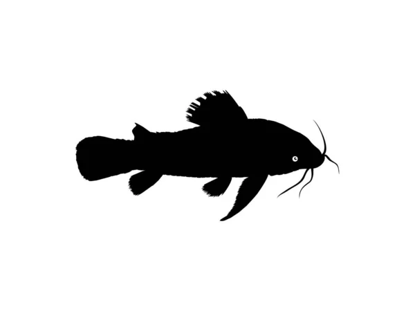 Silhouette Fish Kwi Kwi Tamuata Atipa Hassa Cascadu Cascadura Busco — Vector de stock