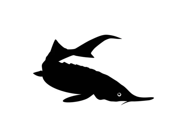 Beluga Sturgeon Huso Fish Silhouette Fish Who Produce Premium Expensive — стоковий вектор