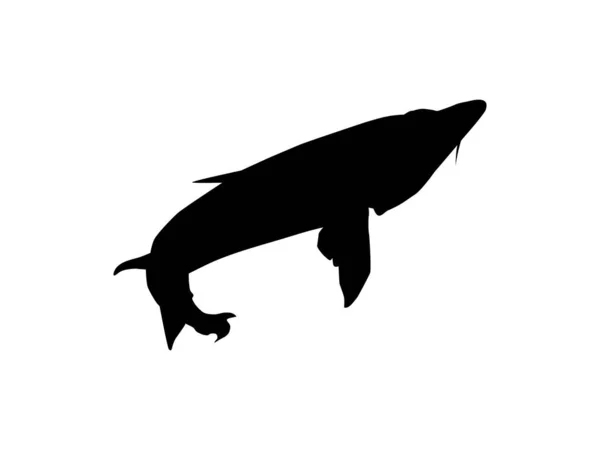 Beluga Sturgeon Huso Fish Silhouette Primium Pahalı Havyar Üreten Balık — Stok Vektör