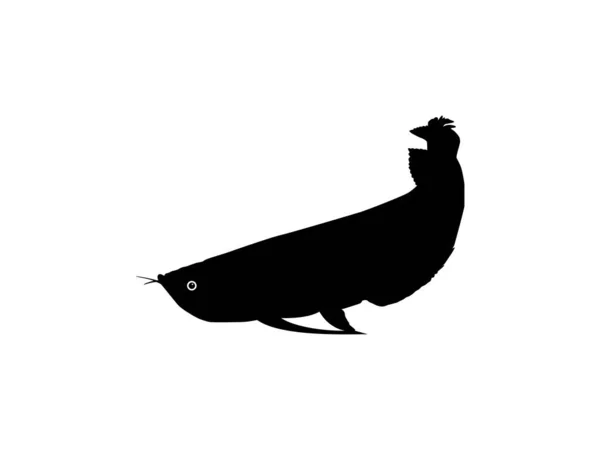 Silhouette Dell Arowana Arwana Noto Anche Come Pesce Drago Illustrazione — Vettoriale Stock