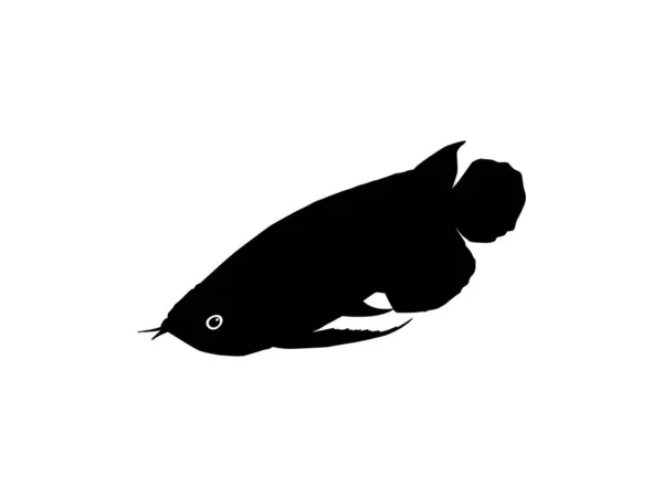 Силуэт Arowana Arwana Известный Dragon Fish Художественной Иллюстрации Логотипа Пиктограммы — стоковый вектор