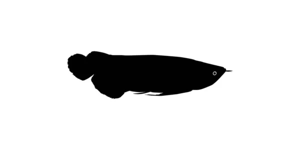 Silhueta Arowana Arwana Também Conhecido Como Dragon Fish Para Ilustração —  Vetores de Stock