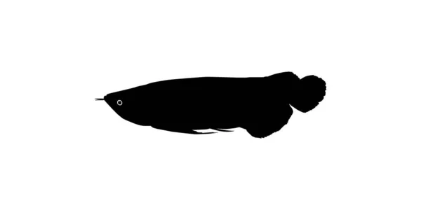 Силуэт Arowana Arwana Известный Dragon Fish Художественной Иллюстрации Логотипа Пиктограммы — стоковый вектор