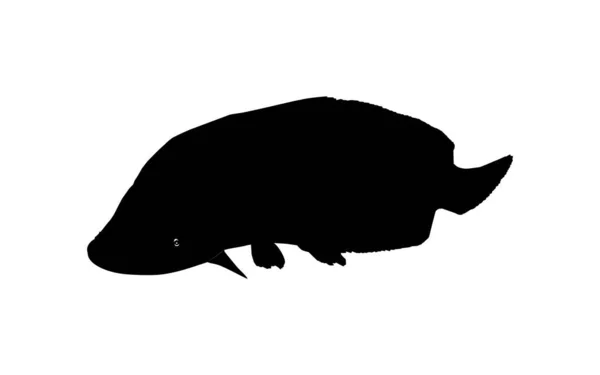 アイコン シンボル ピクトグラム アートイラスト ロゴタイプ ウェブサイトまたはグラフィックデザイン要素のための魚Arapaima またはPiarucu またはPaicheのシルエット ベクターイラスト — ストックベクタ
