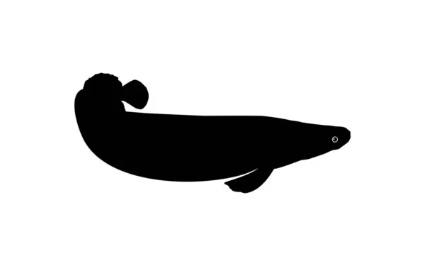 Silhouette Des Fisches Arapaima Oder Pirarucu Oder Paiche Für Ikone — Stockvektor