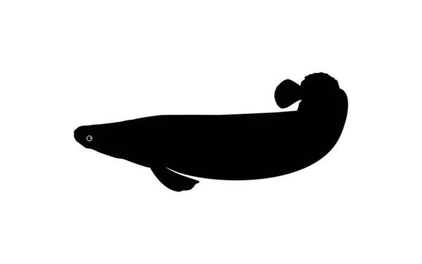 Silhouette Des Fisches Arapaima Oder Pirarucu Oder Paiche Für Ikone — Stockvektor