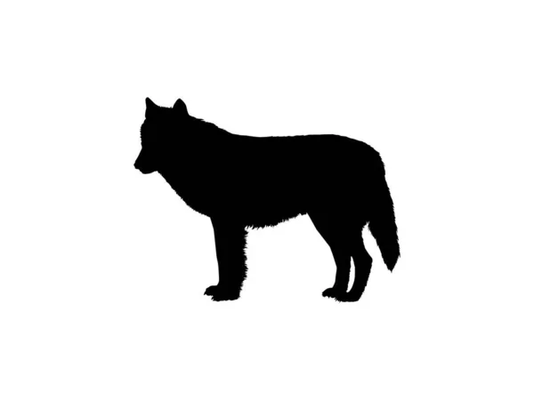 Wolf Silhouette Para Tipo Logotipo Ilustración Arte Pictograma Sitio Web — Archivo Imágenes Vectoriales