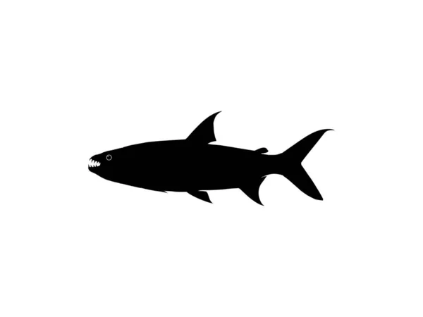 Silhueta Hydrocynus Goliath Também Conhecida Como Goliath Tigerfish Gigante Tigerfish —  Vetores de Stock