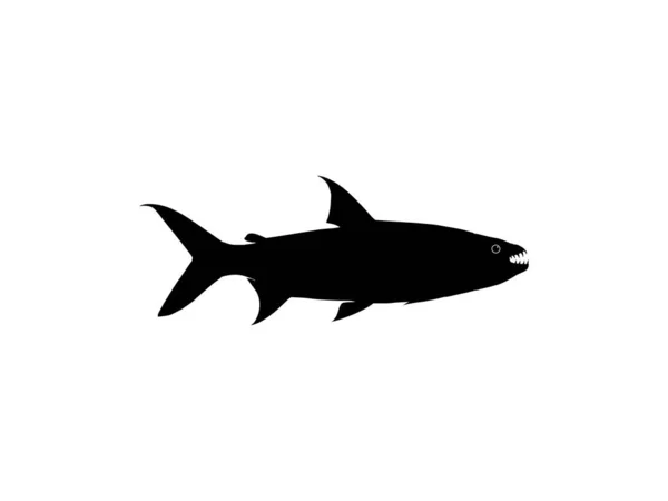 Silhuett Hydrocynus Goliath Även Känd Som Goliath Tigerfish Jätte Tigerfish — Stock vektor