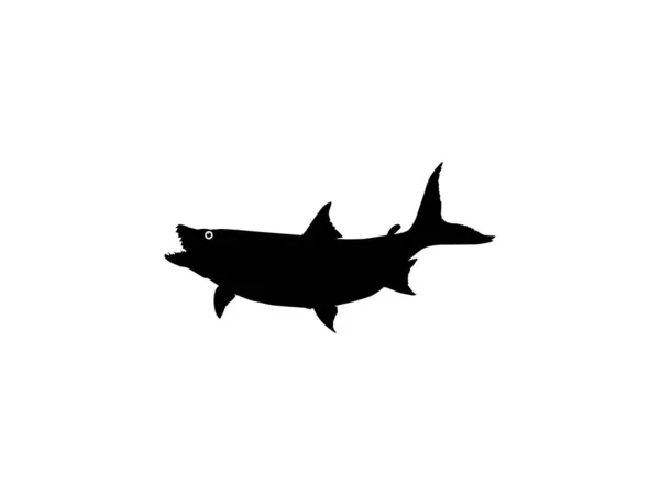 Силуэт Hydrocynus Goliath Известный Голиаф Тигровая Рыба Гигантская Тигровая Рыба — стоковый вектор