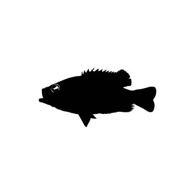 Bass Fish Silhouette, Art Illustration, Logo Gram, Pictogram, Mascot, Website veya Grafik Tasarım Elementi için kullanılabilir. Vektör İllüstrasyonu