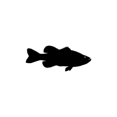 Bass Fish Silhouette, Art Illustration, Logo Gram, Pictogram, Mascot, Website veya Grafik Tasarım Elementi için kullanılabilir. Vektör İllüstrasyonu