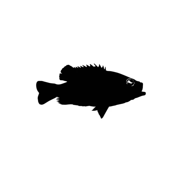 Bass Fish Silhouette Lze Použít Pro Art Illustration Logo Gram — Stockový vektor