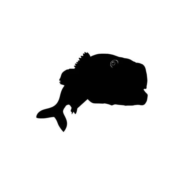 Bass Fish Silhouette Pode Usar Para Ilustração Arte Logo Gram —  Vetores de Stock