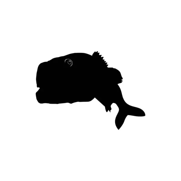 Bass Fish Silhouette Pode Usar Para Ilustração Arte Logo Gram —  Vetores de Stock