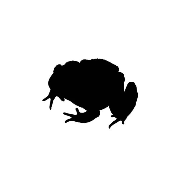 Frog Silhouette Lze Použít Pro Logo Gram Art Illustration Pictogram — Stockový vektor