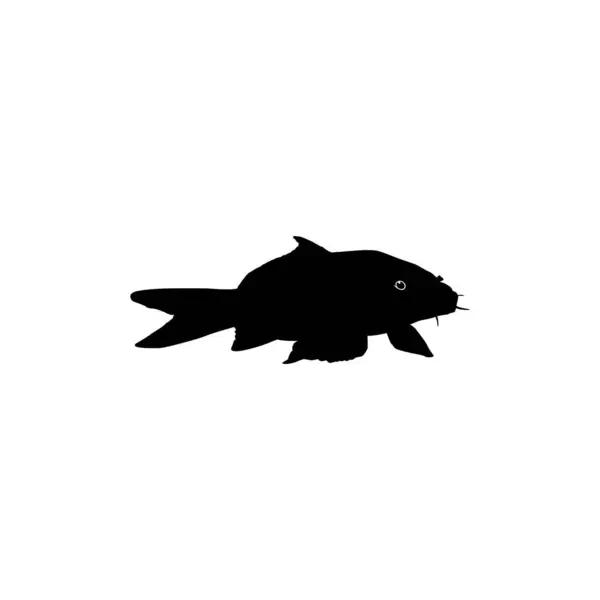 Gold Fish Silhouette는 일러스트레이션 사이트 그래픽 디자인 요소에 사용할 있습니다 — 스톡 벡터