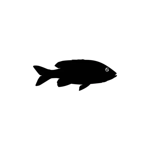 Gold Fish Silhouet Kan Worden Gebruikt Voor Logo Gram Art — Stockvector