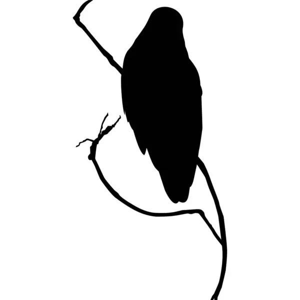Pájaro Encaramado Rama Silueta Del Árbol Ilustración Vectorial — Vector de stock