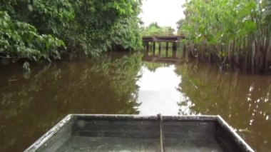 Bataklıkta Küçük Motorlu Tekne, Nehirde Macera, Doğa Video Belgeseli. Güney Amerika, Surinam 'da Konum