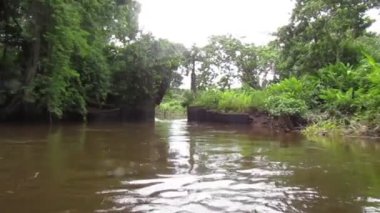 Bataklıkta Küçük Motorlu Tekne, Nehirde Macera, Doğa Video Belgeseli. Güney Amerika, Surinam 'da Konum