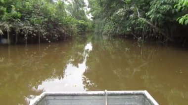 Bataklıkta Küçük Motorlu Tekne, Nehirde Macera, Doğa Video Belgeseli. Güney Amerika, Surinam 'da Konum