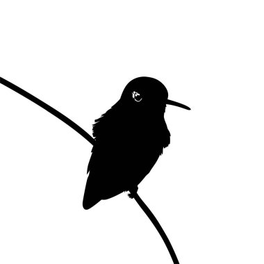 Tüneyen Sinekkuşu Silueti, Sanat Illustration, Web sitesi, Logo Gram, Pictogram veya Grafik Tasarım Elementi 'ni kullanabilir. Vektör İllüstrasyonu