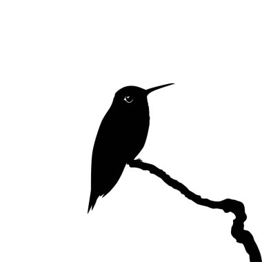 Tüneyen Sinekkuşu Silueti, Sanat Illustration, Web sitesi, Logo Gram, Pictogram veya Grafik Tasarım Elementi 'ni kullanabilir. Vektör İllüstrasyonu