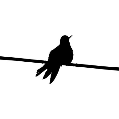 Tüneyen Sinekkuşu Silueti, Sanat Illustration, Web sitesi, Logo Gram, Pictogram veya Grafik Tasarım Elementi 'ni kullanabilir. Vektör İllüstrasyonu