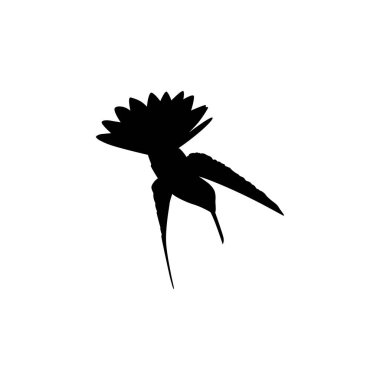 Flying Hummingbird Silhouette, Art Illustration, Website, Logo Gram, Pictogram veya Grafik Tasarım Elementi kullanılabilir. Vektör İllüstrasyonu