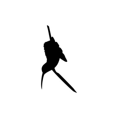 Flying Hummingbird Silhouette, Art Illustration, Website, Logo Gram, Pictogram veya Grafik Tasarım Elementi kullanılabilir. Vektör İllüstrasyonu