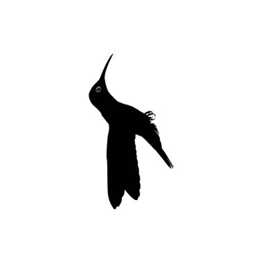 Flying Hummingbird Silhouette, Art Illustration, Website, Logo Gram, Pictogram veya Grafik Tasarım Elementi kullanılabilir. Vektör İllüstrasyonu