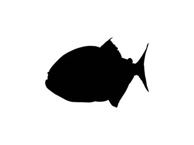 Piranha Fish Silhouette, Logo Gram, Website, Art Illustration, Pictogram, Icon veya Grafik Tasarım Elementi için kullanılabilir. Vektör İllüstrasyonu