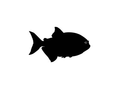 Piranha Fish Silhouette, Logo Gram, Website, Art Illustration, Pictogram, Icon veya Grafik Tasarım Elementi için kullanılabilir. Vektör İllüstrasyonu