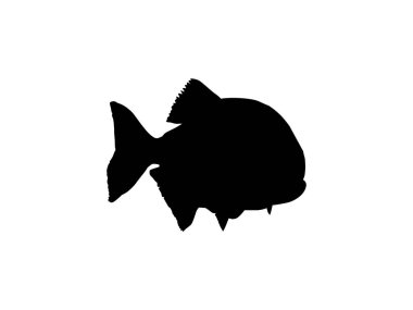 Piranha Fish Silhouette, Logo Gram, Website, Art Illustration, Pictogram, Icon veya Grafik Tasarım Elementi için kullanılabilir. Vektör İllüstrasyonu