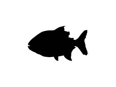 Piranha Fish Silhouette, Logo Gram, Website, Art Illustration, Pictogram, Icon veya Grafik Tasarım Elementi için kullanılabilir. Vektör İllüstrasyonu