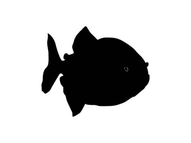 Piranha Fish Silhouette, Logo Gram, Website, Art Illustration, Pictogram, Icon veya Grafik Tasarım Elementi için kullanılabilir. Vektör İllüstrasyonu