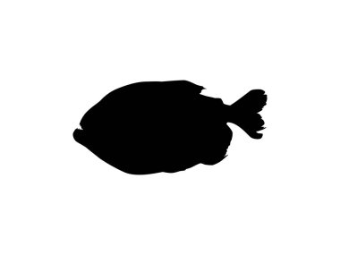 Piranha Fish Silhouette, Logo Gram, Website, Art Illustration, Pictogram, Icon veya Grafik Tasarım Elementi için kullanılabilir. Vektör İllüstrasyonu