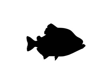 Piranha Fish Silhouette, Logo Gram, Website, Art Illustration, Pictogram, Icon veya Grafik Tasarım Elementi için kullanılabilir. Vektör İllüstrasyonu 