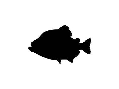 Piranha Fish Silhouette, Logo Gram, Website, Art Illustration, Pictogram, Icon veya Grafik Tasarım Elementi için kullanılabilir. Vektör İllüstrasyonu 