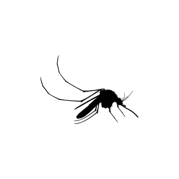 Sivrisinek silueti, Art Illustration Pictogram, Web sitesi ve Grafik Tasarım Elementi için kullanılabilir. Vektör İllüstrasyonu