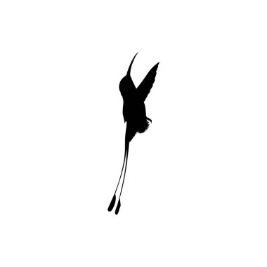 Flying Hummingbird Silhouette, Art Illustration, Website, Logo Gram, Pictogram veya Grafik Tasarım Elementi kullanılabilir. Vektör İllüstrasyonu