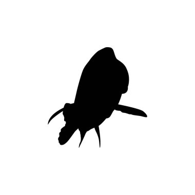 Humphead wrasse 'nin (Cheilinus undulatus) silueti, ayrıca Mori wrasse, Napolyon wrasse, Napolyon balığı olarak da bilinir. Düz Stil, Logo Gram, Hayvan Resimleri, Pictogram, Web Sitesi veya Grafik Tasarım Elementi için kullanılabilir. Vektör İllüstrasyonu