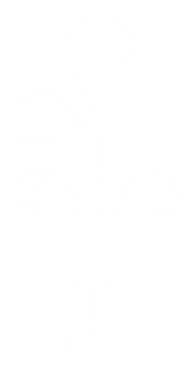 Eğreltiotu Silueti, Düz ve Saf Stil, Sanat Illustration, Logo, Apps, Pictogram veya Grafik Tasarım Elementi için kullanılabilir. PNG Biçimi