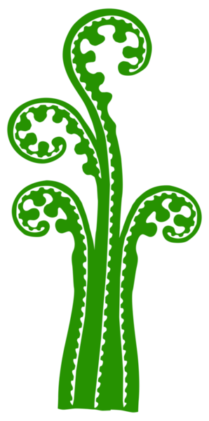 Eğreltiotu Silueti, Düz ve Saf Stil, Sanat Illustration, Logo, Apps, Pictogram veya Grafik Tasarım Elementi için kullanılabilir. PNG Biçimi