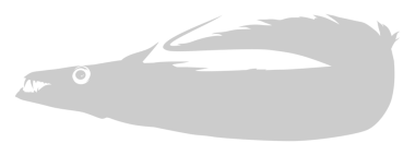 Cutlass Fish 'in silueti, Düz Stil, Logo Gram, Sanat Illustration, Pictogram veya Grafik Tasarım Elementi için kullanılabilir. PNG Biçimi